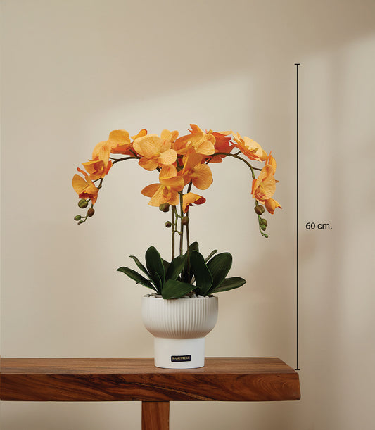 Vibrant orange artificial phalaenopsis orchid in white ceramic pot, 60cm tall potted arrangement