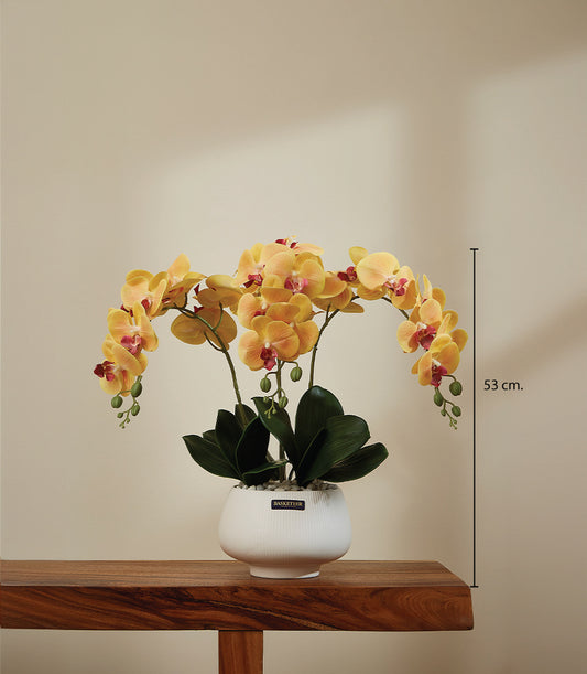 Golden Sunrise artificial phalaenopsis orchids in white ceramic pot with yellow-orange blooms and dark green foliage