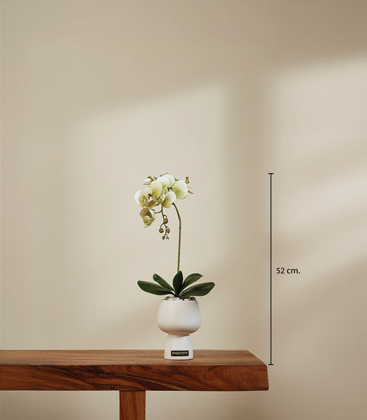 Light green artificial orchid in white ceramic pot, 52cm tall luxury gift plant