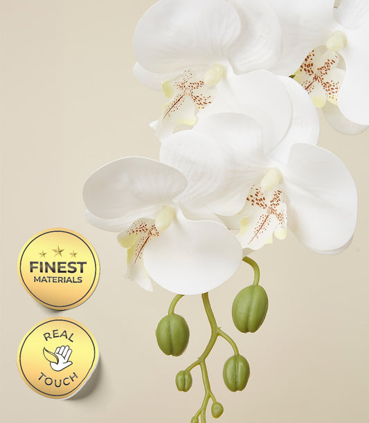 White potted orchid with delicate yellow-speckled blooms, lifelike premium gift plant