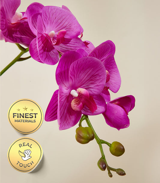 Vibrant fuchsia potted orchid with realistic blooms and green buds, premium gift arrangement