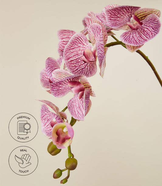 Lilac Delight potted orchids with white petals and fuchsia pink stripes, premium real-touch artificial flowers