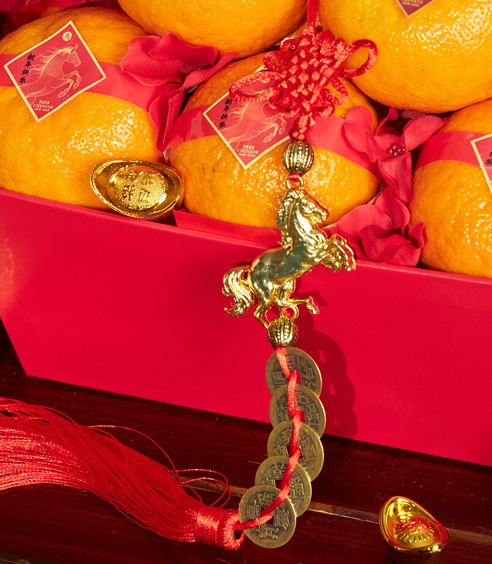 Chinese New Year mandarin orange gift box with red packaging, golden horse charm, and festive tassel