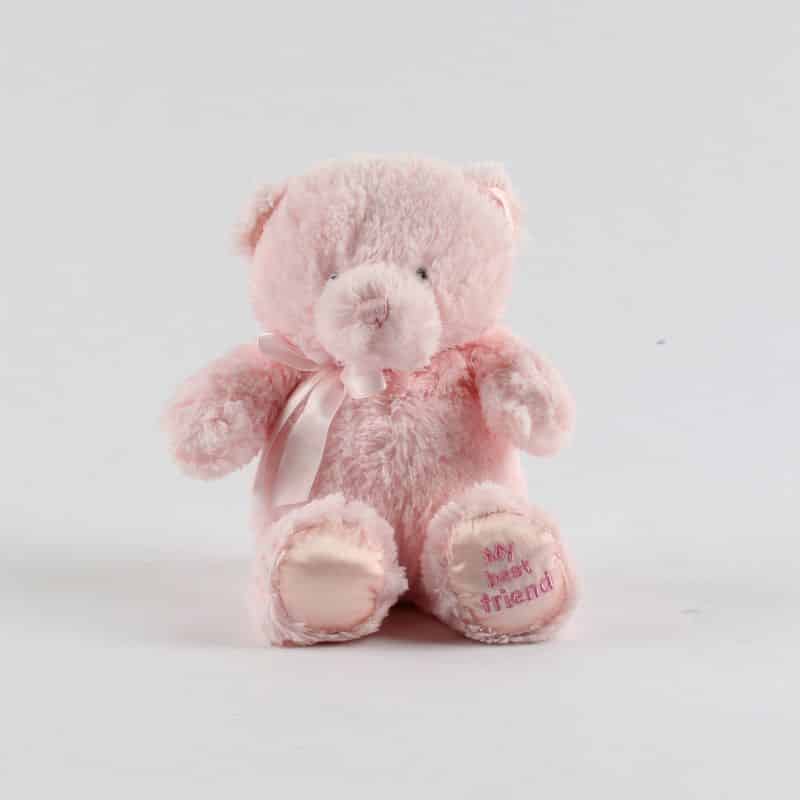 Light pink plush teddy bear with satin ribbon bow and embroidered "My best friend" detail on foot