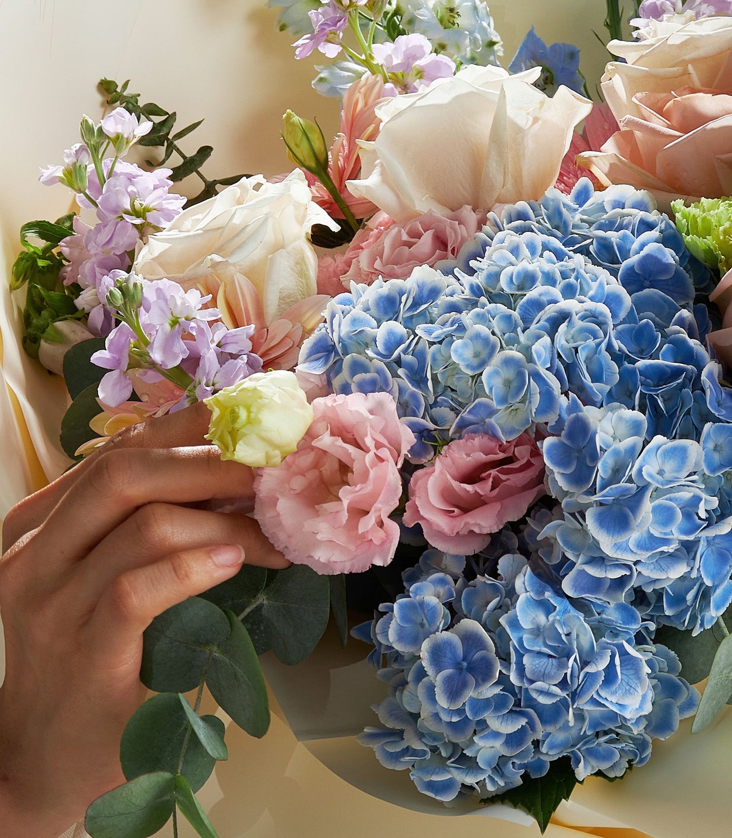 Pastel rose and hydrangea bouquet with eucalyptus, held in hand with light wrapping