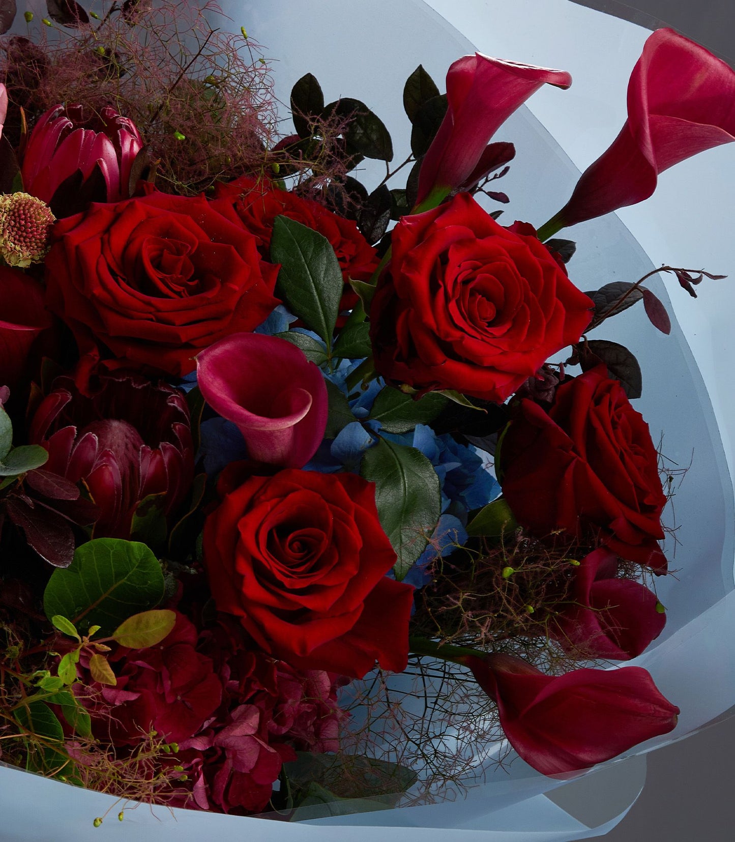Red and pink luxury rose bouquet with calla lilies, protea, and hydrangeas wrapped in pale blue cellophane