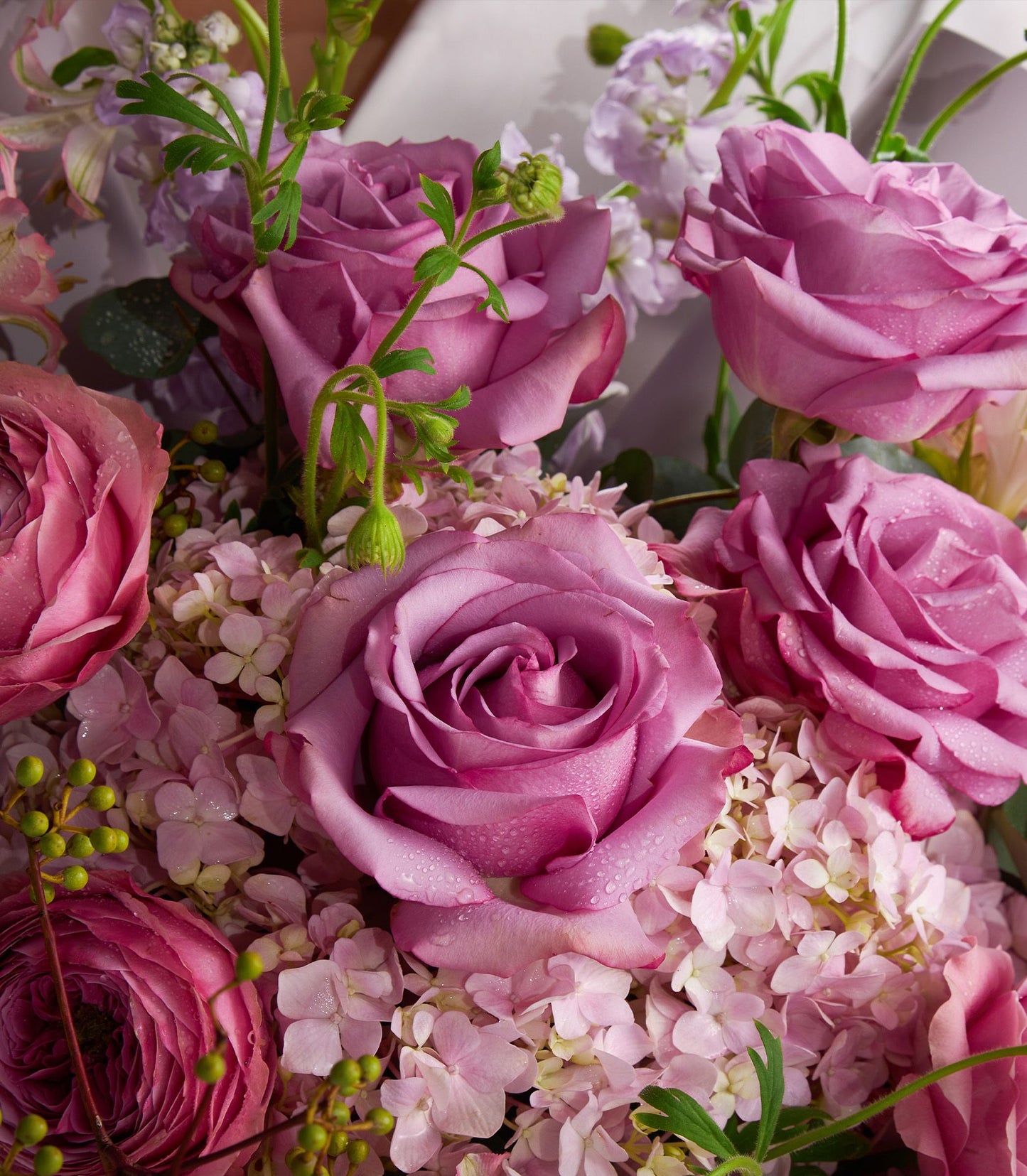 Mauve and blush rose bouquet with hydrangea and alstroemeria, fresh Ecuador roses with morning dew