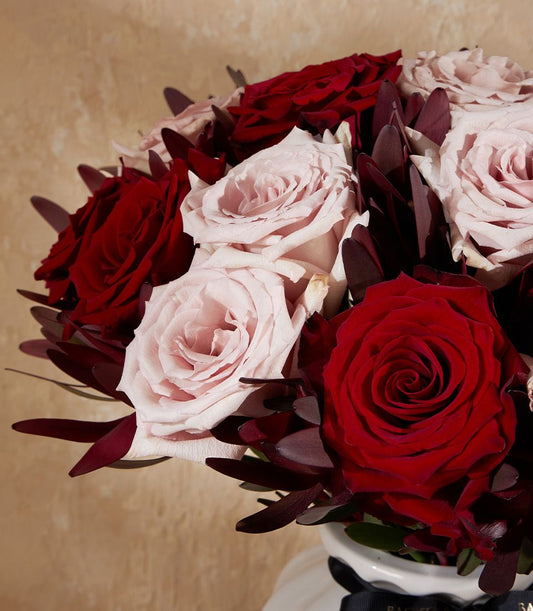 Deep red and pale pink roses in white vase with burgundy foliage and dark ribbon