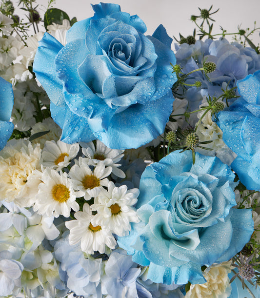 Whisker Blue Elegance luxury flower basket with light blue roses, white daisies, and hydrangeas