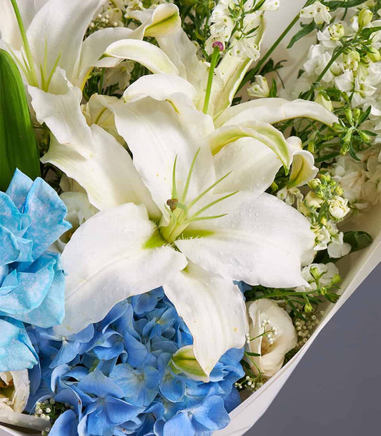Blue hydrangea, white lily and rose bouquet in premium fresh flower arrangement