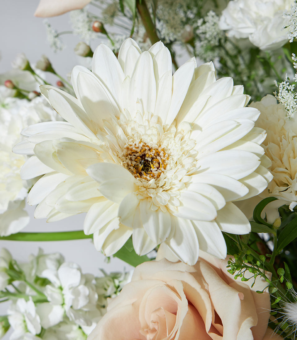 Cream roses and white gerberas in luxe floral basket arrangement with soft peach accents