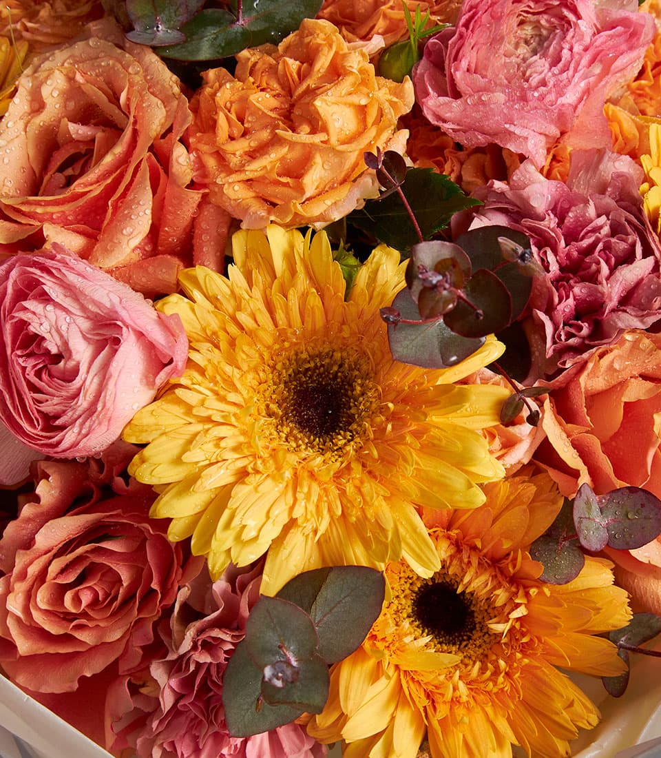 Radiant Flame mixed bouquet with peach roses, yellow gerberas, pink ranunculus, and eucalyptus