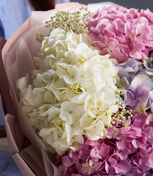 Luxurious mixed hydrangea bouquet in white, pink and purple with delicate filler flowers, wrapped in soft pink paper