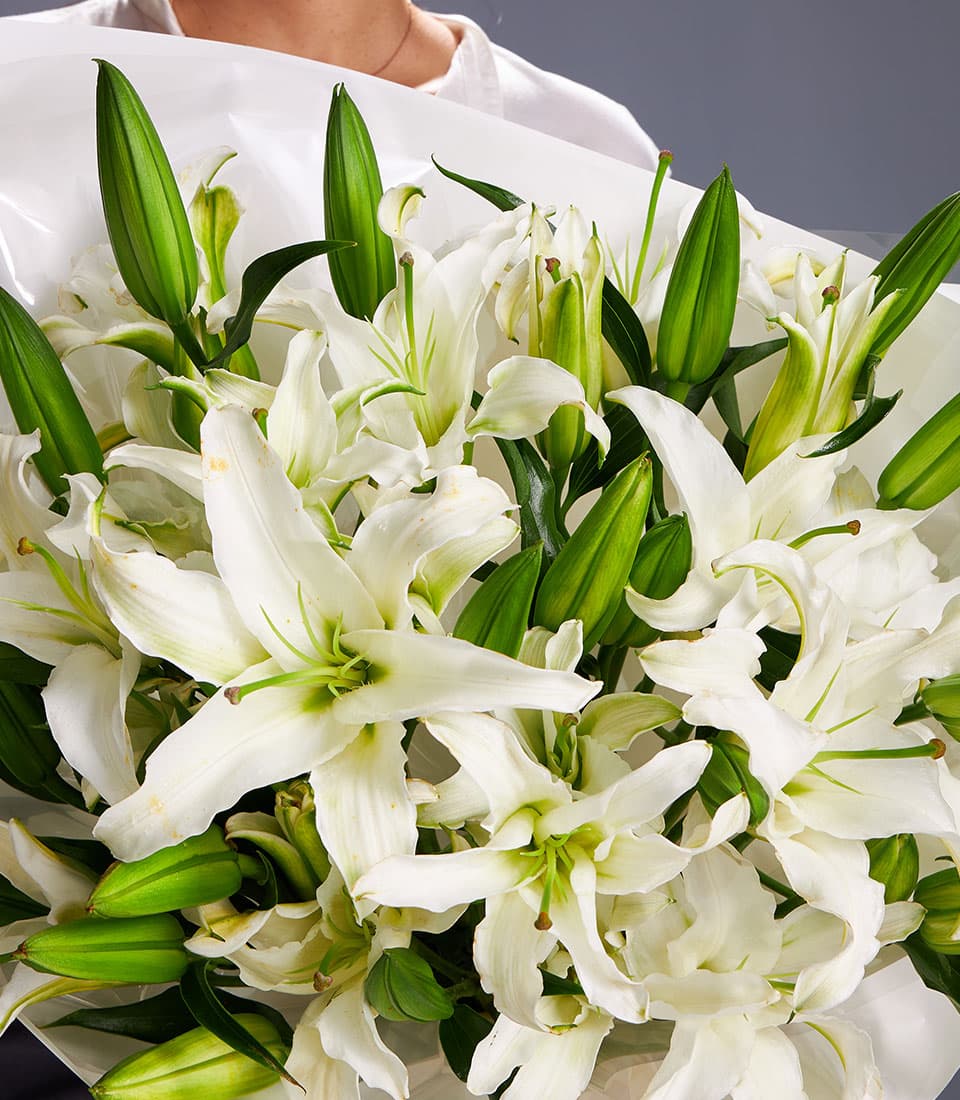 White Oriental lily bouquet with green buds and stamens, wrapped in glossy white paper