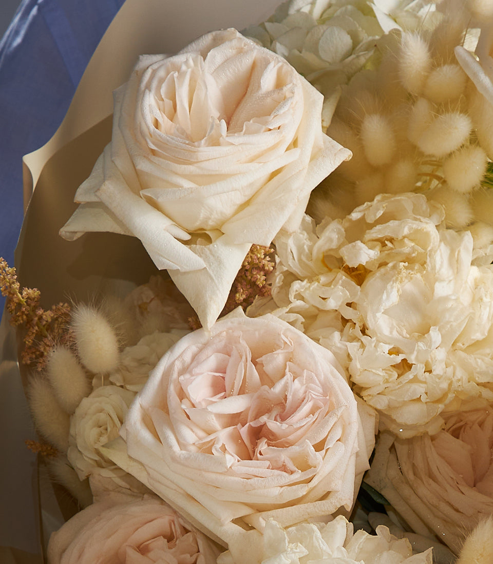 Luxurious white and blush rose bouquet with cream dried flowers and lagurus, wrapped in beige paper