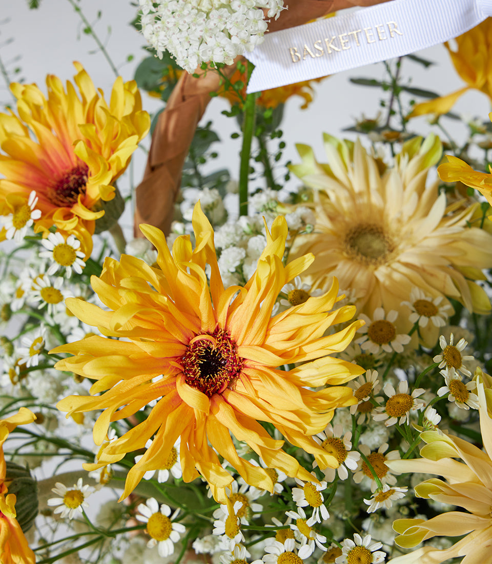 Yellow chrysanthemums and baby's breath flower basket with white ribbon bow