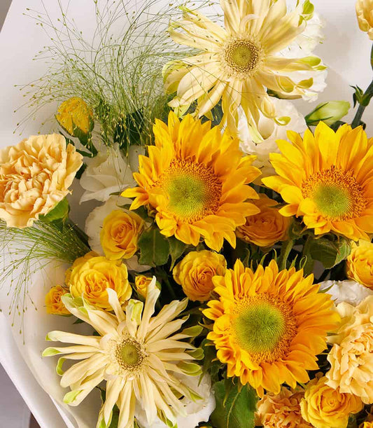 Vibrant yellow gerbera daisies and white chrysanthemums hand-tied bouquet with green ornamental grass