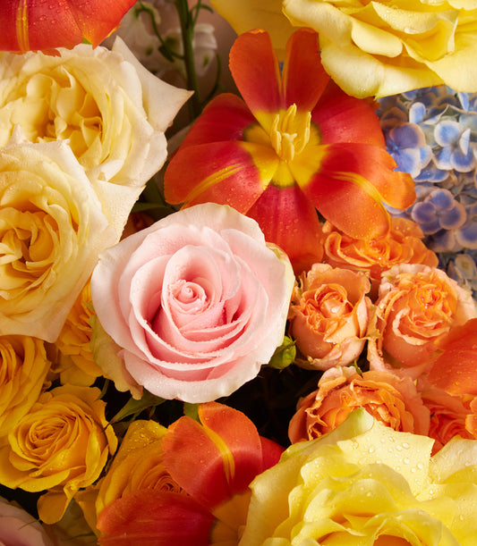 Vibrant fresh flower bouquet with yellow and cream roses, pink rose, orange roses, red and yellow tulips, and blue hydrangea
