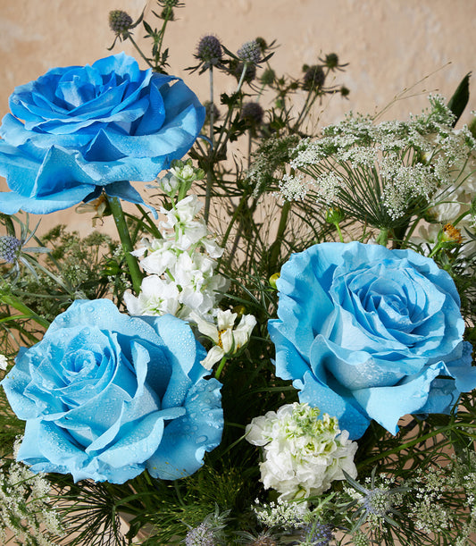 Fresh blue roses with white stock and Queen Anne's Lace in elegant vase arrangement
