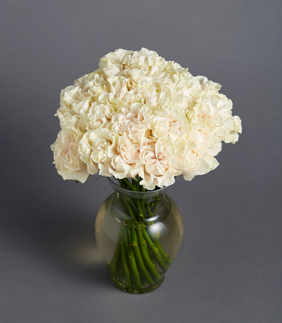 Pastel cream and blush roses in glass vase, lush fresh flower bouquet for gift-giving