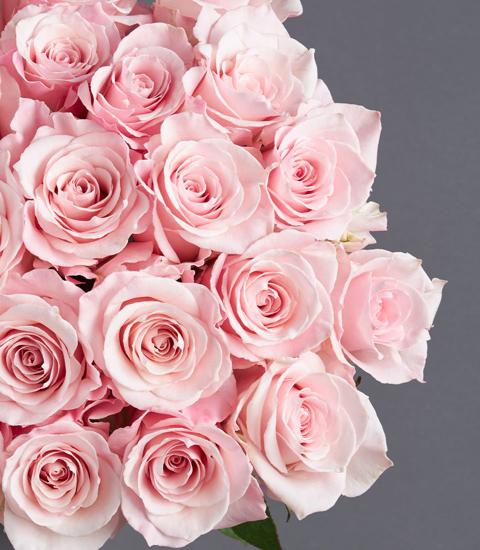 Soft pink rose bouquet with tightly packed blooms and delicate spiral centers, perfect for gifting