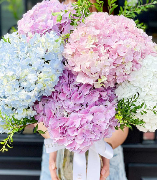 Vibrant hydrangea bouquet in clear glass vase with blue, pink, and white blooms for congratulations