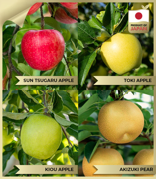 Premium Japanese fruit gift basket with Sun Tsugaru apple, Toki apple, Kiou apple, and Akizuki pear