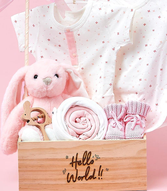 Soft pink baby gift set in wooden crate with plush bunny, wooden rattle, knitted booties, and bodysuits