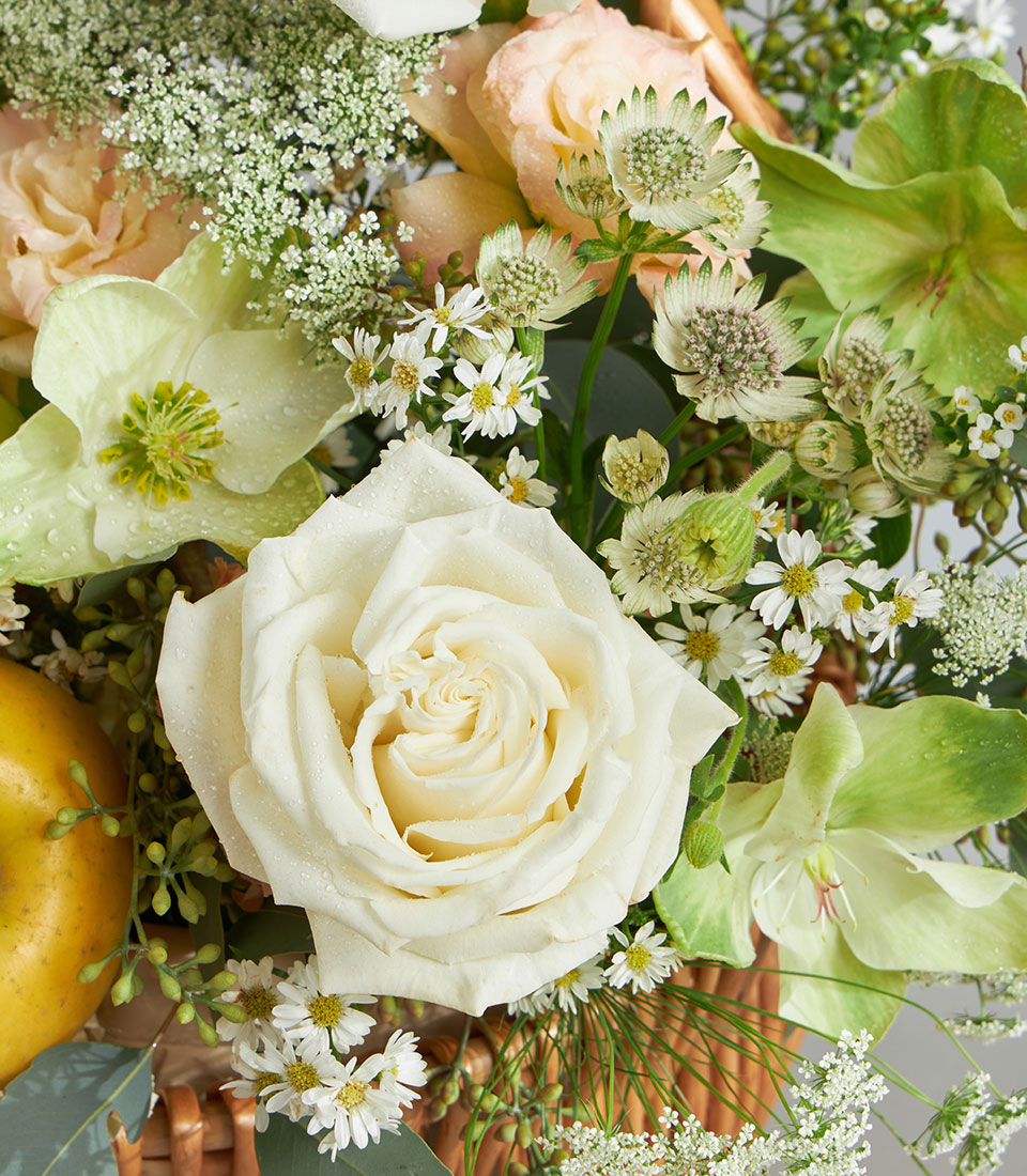 Premium green and white fruit basket with fresh white roses, daisies, and imported pear in woven basket
