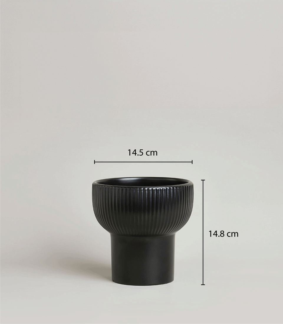 Black ceramic ribbed vase with measurement details for luxury orchid potted plant gifting