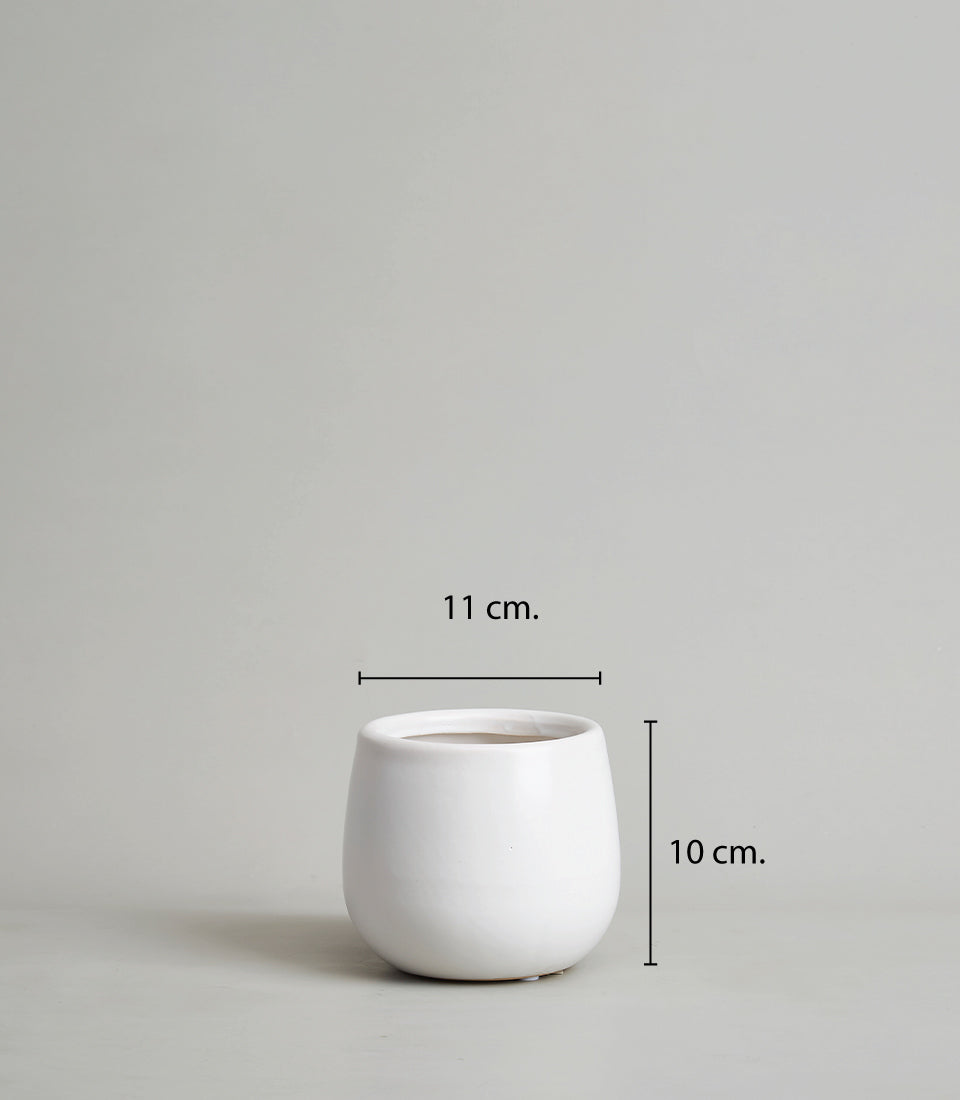 White cylindrical ceramic vase for fresh flowers and premium gift arrangements