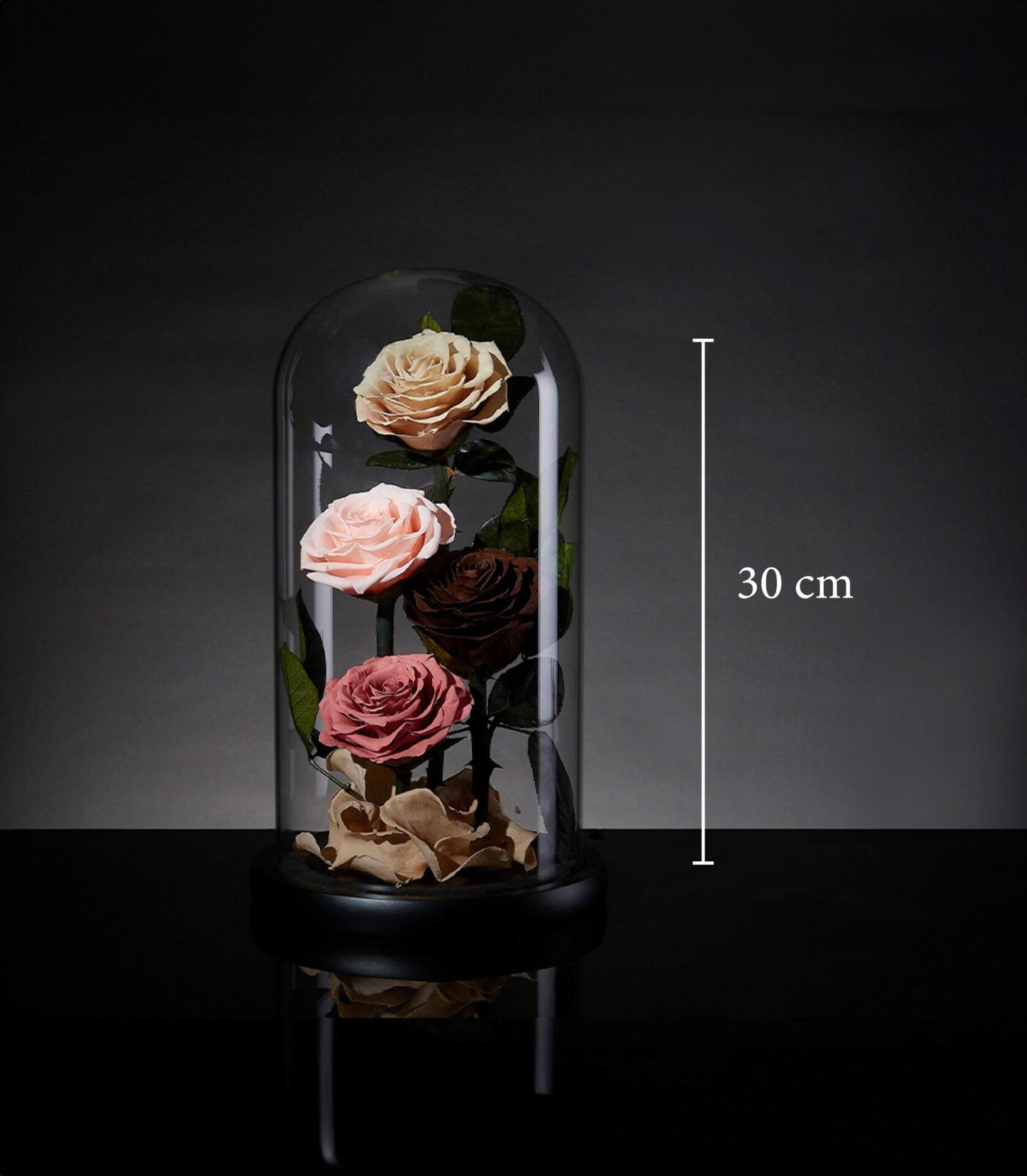 Four preserved roses in cream, blush, chocolate and mauve under glass dome, Valentine's Day luxury gift from Flowers by