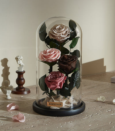 Preserved rose dome with multicolored roses in beige, pink, and burgundy for Valentine's Day gifts