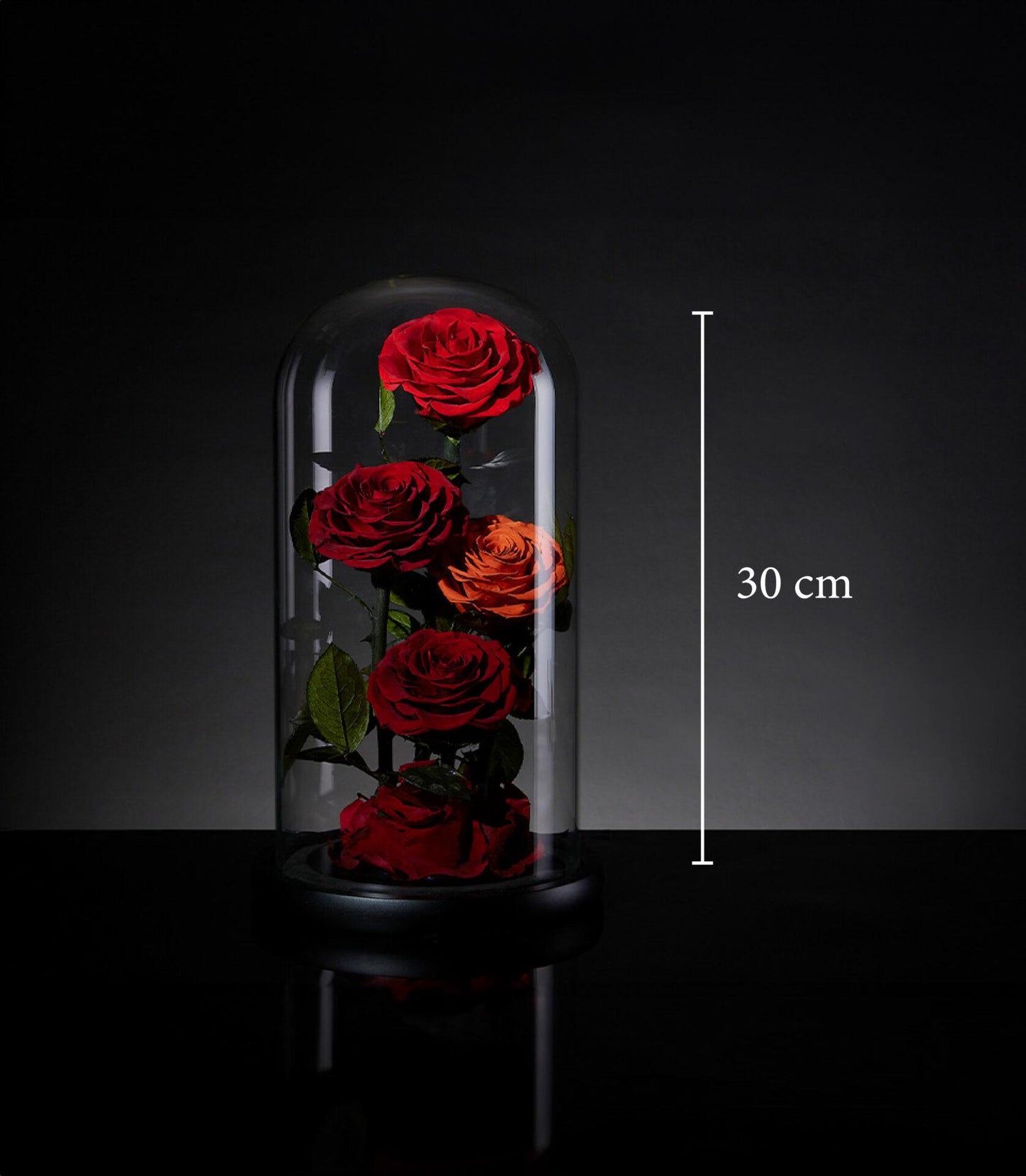 Preserved red and orange roses under glass cloche, Valentine's luxury flower gift