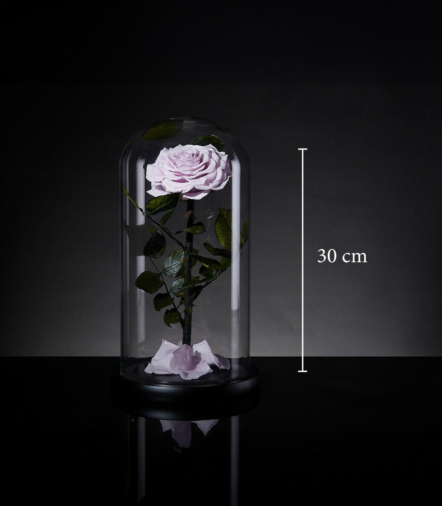 Single preserved lavender rose under glass dome with 30cm stem, luxury Valentine gift
