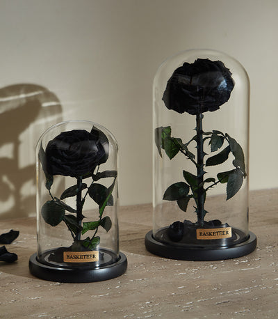 Preserved black roses in glass domes with green leaves, luxury Valentine's gift for him