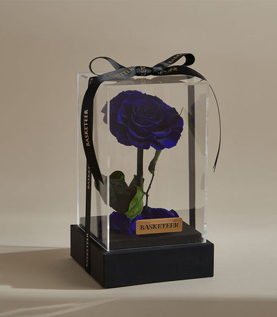 Deep blue preserved rose in clear acrylic box with black base and ribbon bow