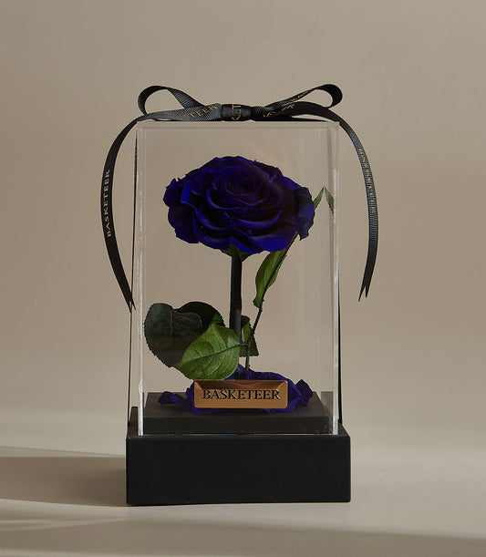 Deep indigo preserved rose in clear acrylic box with black ribbon, luxury gift display