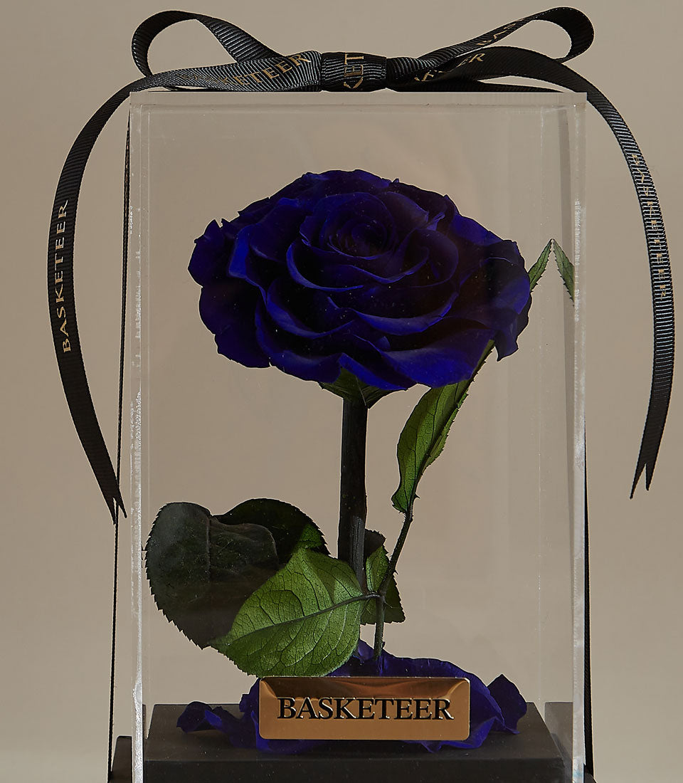 Royal blue preserved rose in clear acrylic box with green leaves and gold ribbon detail