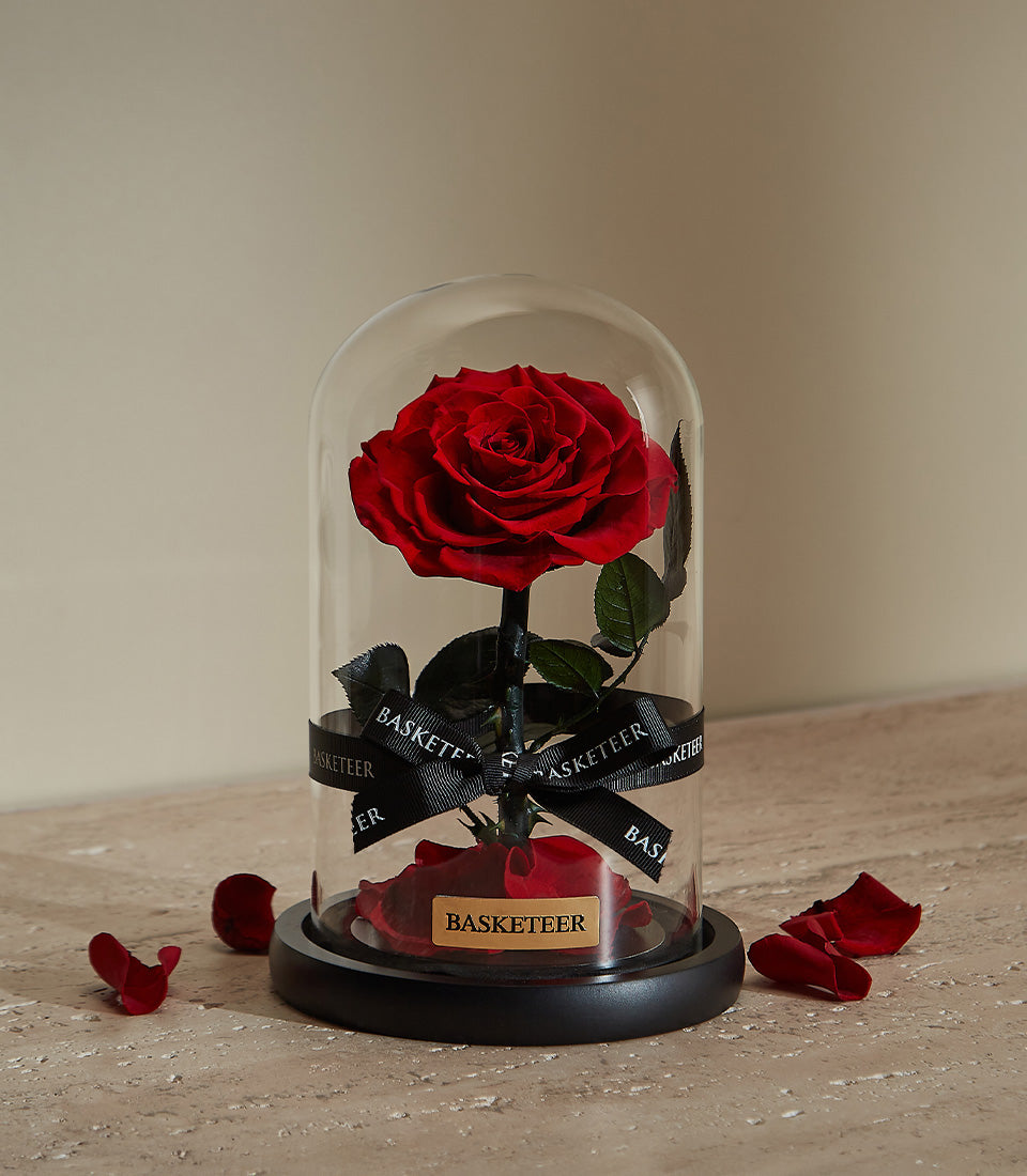 Preserved red rose in glass dome with black stem and petals, luxury Valentine's gift for her