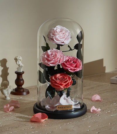 Preserved pink and coral roses under glass dome on black base with scattered petals