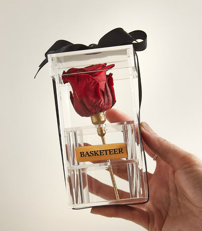 Preserved red rose in clear acrylic box with gold stem and black ribbon bow, luxury gift presentation