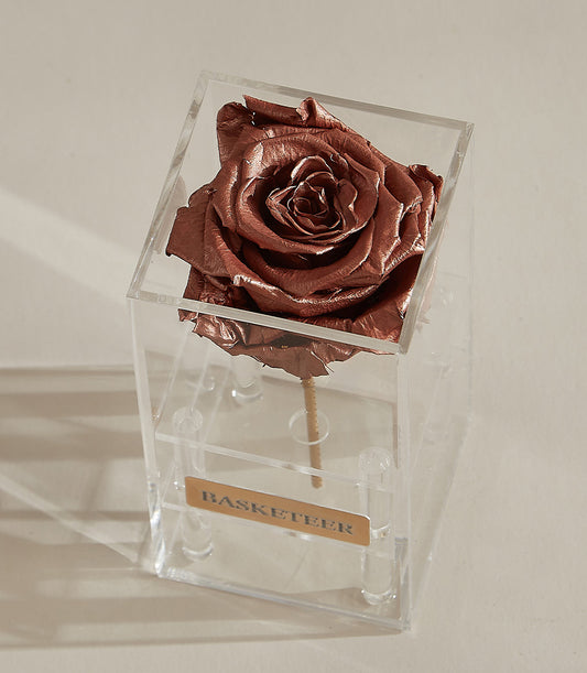 Metallic copper preserved rose in clear acrylic box with cylindrical feet