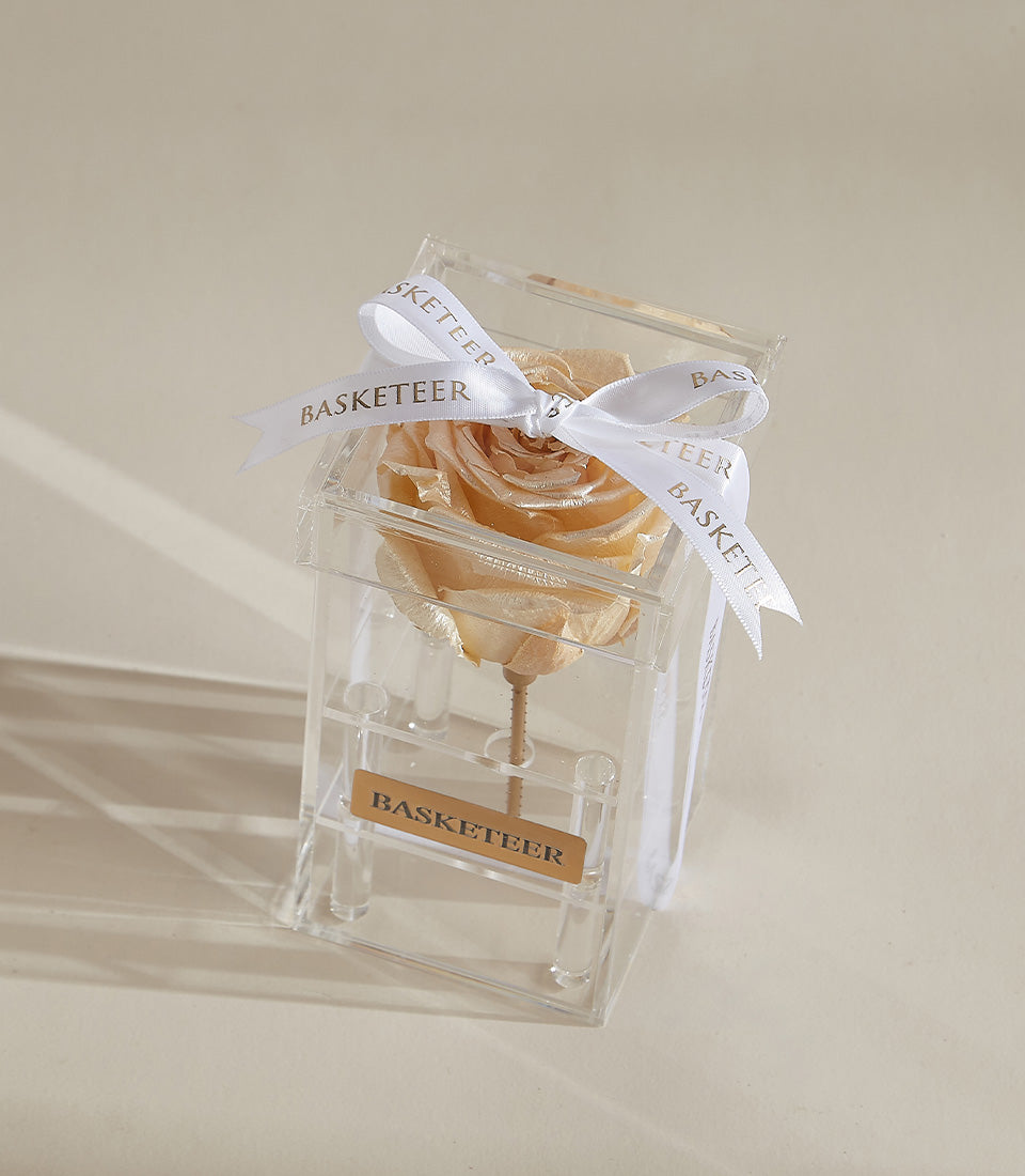 Preserved peach rose in clear acrylic box with white satin ribbon, luxury gift presentation