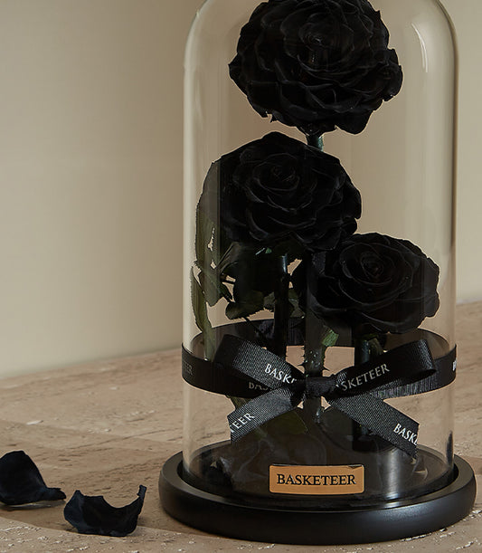Preserved black rose trio under glass dome with black ribbon, Valentine's luxury gift