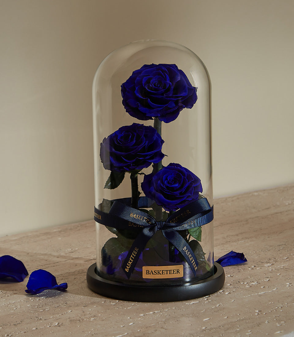 Royal blue preserved roses in glass dome with black base, luxury Valentine's gift for him