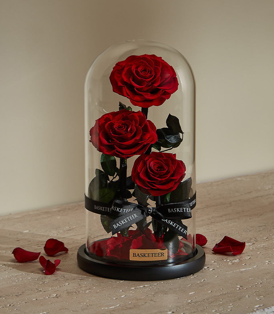Eternal Love preserved red roses in glass dome with dark green stems and scattered petals, romantic Valentine gift for her