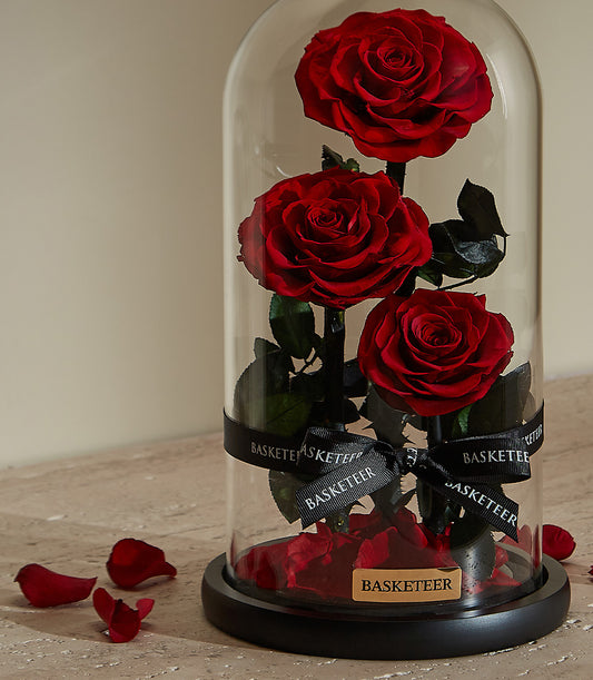 Preserved red roses in glass dome with black base, Valentine's Day gift for her