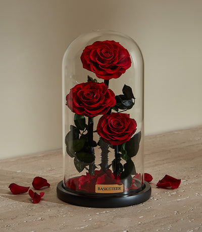 Eternal Love red preserved roses under glass dome with black base, luxury Valentine's gift for her