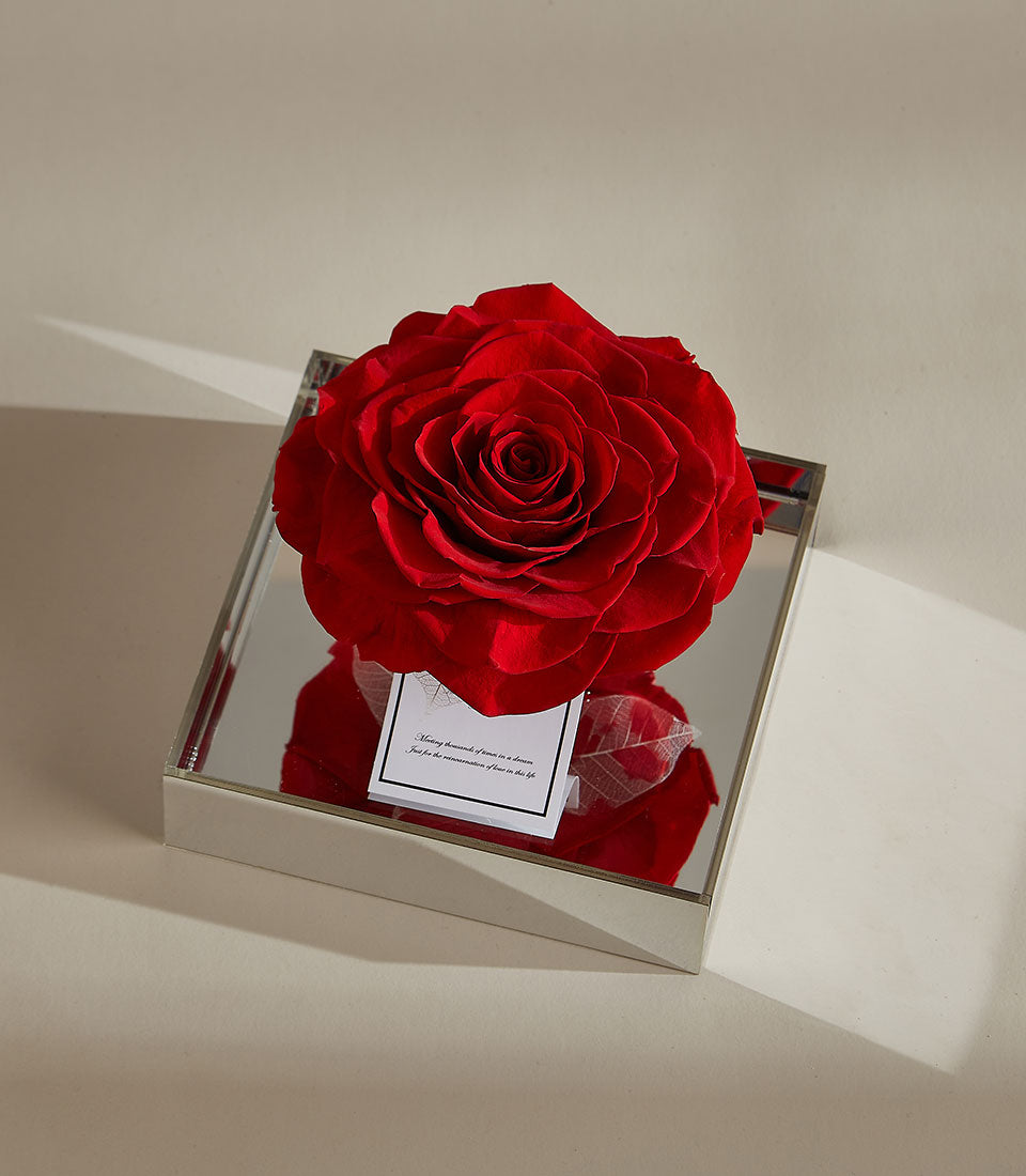 Red preserved rose in mirrored acrylic luxury box with skeletal leaf ribbon detail